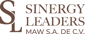 Sinergy Leaders